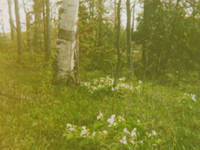 Manitoulin Island Ontario